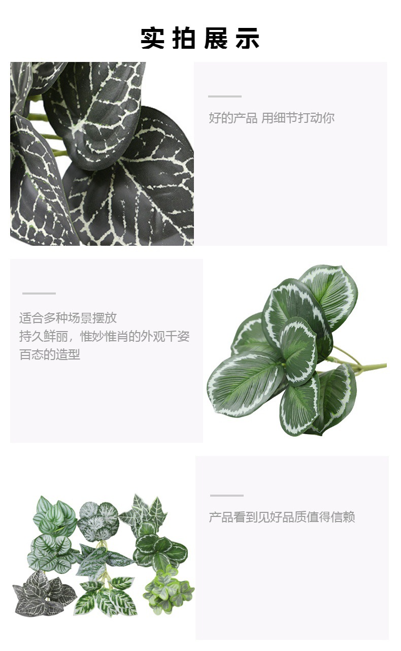 仿真绿植物镜片叶子圆贝叶中壁挂仿真绿植 婚庆造景搭配装饰树叶详情3
