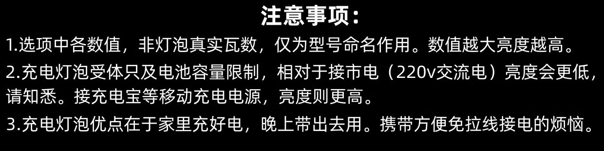 夜市摆摊充电灯泡地摊灯led应急家用支架露营灯便携式户外照明灯详情1