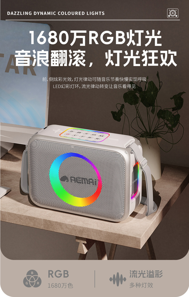 AEMAI户外高音质K歌蓝牙音箱手提便携可充电带无线麦克风广场舞详情14
