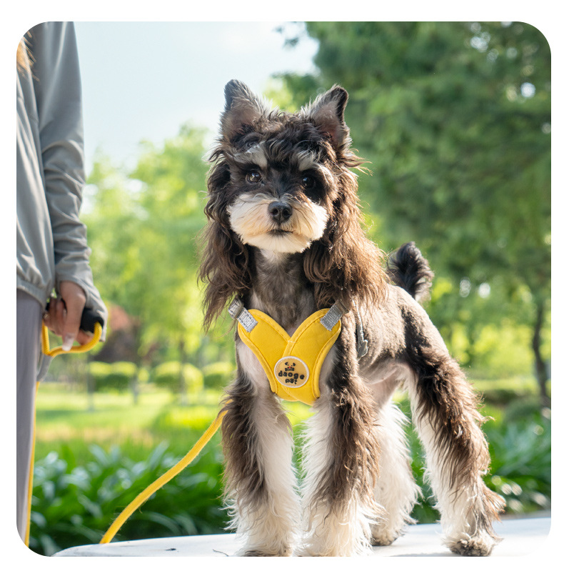 戎咖宠物跨境宠物伸缩牵引绳X型胸背狗狗牵引带雪纳瑞比熊遛狗胸背狗狗用品详情15