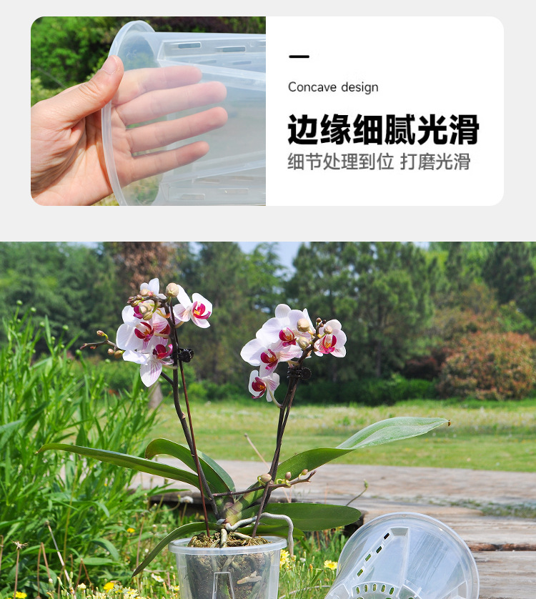 蝴蝶兰专用花盆空气柱透明青山盆特大号大口径塑料圆形桌面高花盆详情20