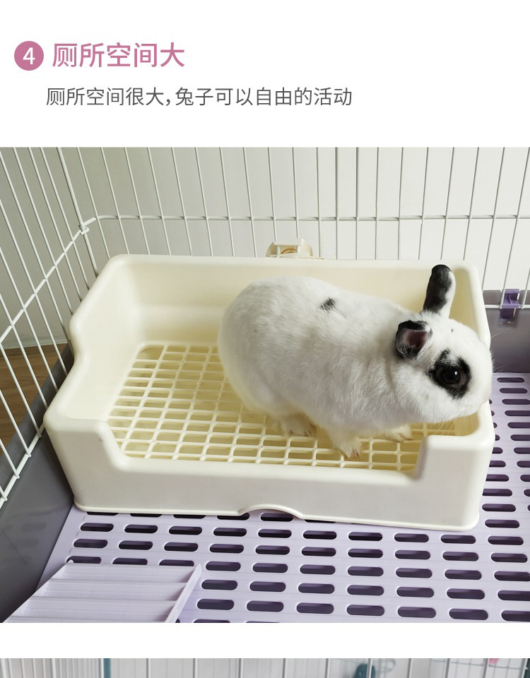 三禾雨兔子厕所龙猫荷兰猪号防掀翻防漏尿品高同款厕所薄膜套详情13