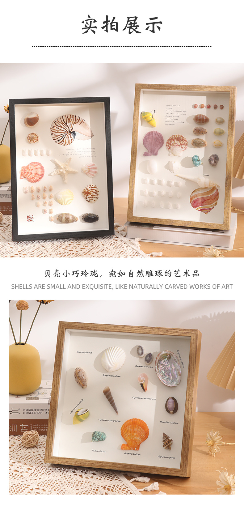 中空立体干花相框空框灯光摆台蝴蝶标本相框DIY贝壳海螺装饰画框详情10