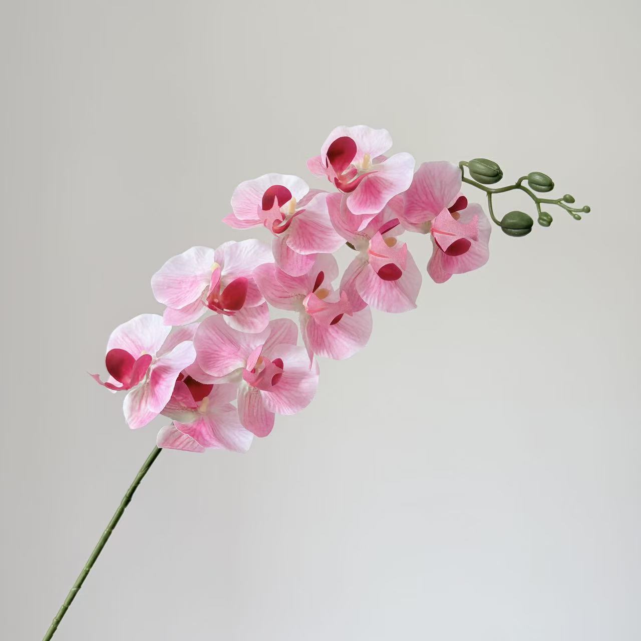 9头蝴蝶兰仿真花手感高级感逼真假花兰花艺场景布置酒店婚庆用花详情13