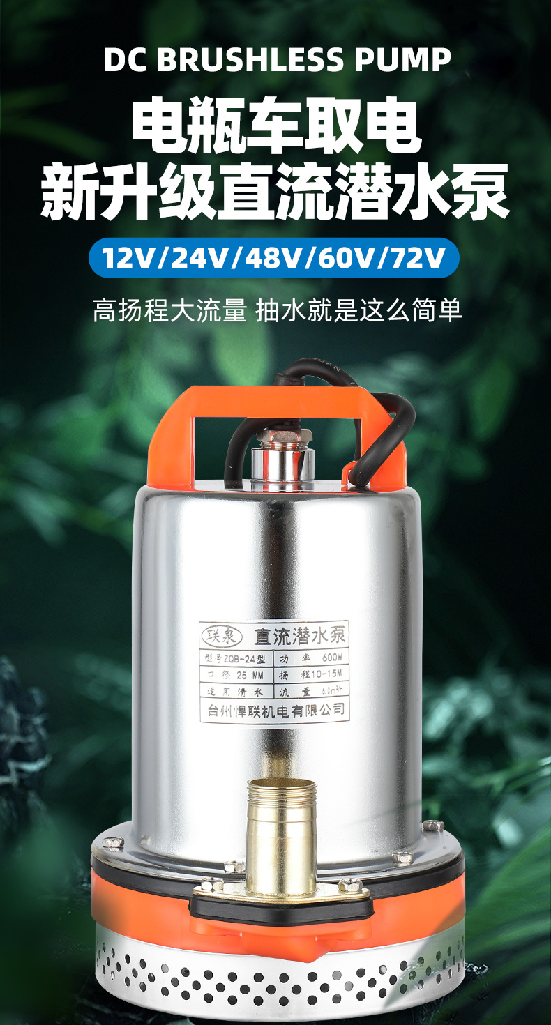 直流潜水泵12V24V48V60V电瓶车电动车纯铜水泵小型灌溉农用抽水机详情2