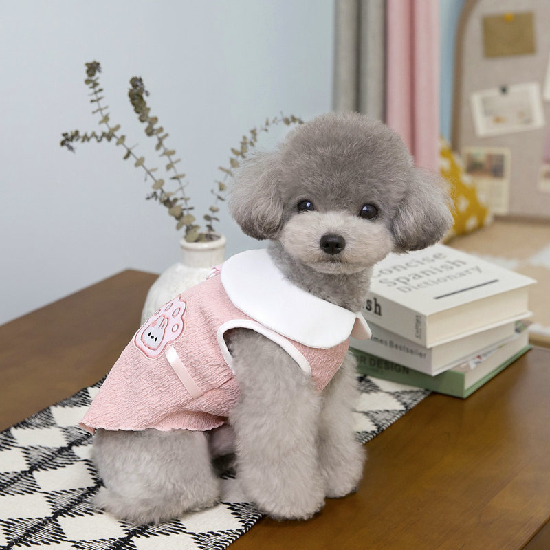 小狗狗衣服夏薄款夏泰迪雪纳瑞博美短袖T恤25朵朵兔T恤小型犬详情8