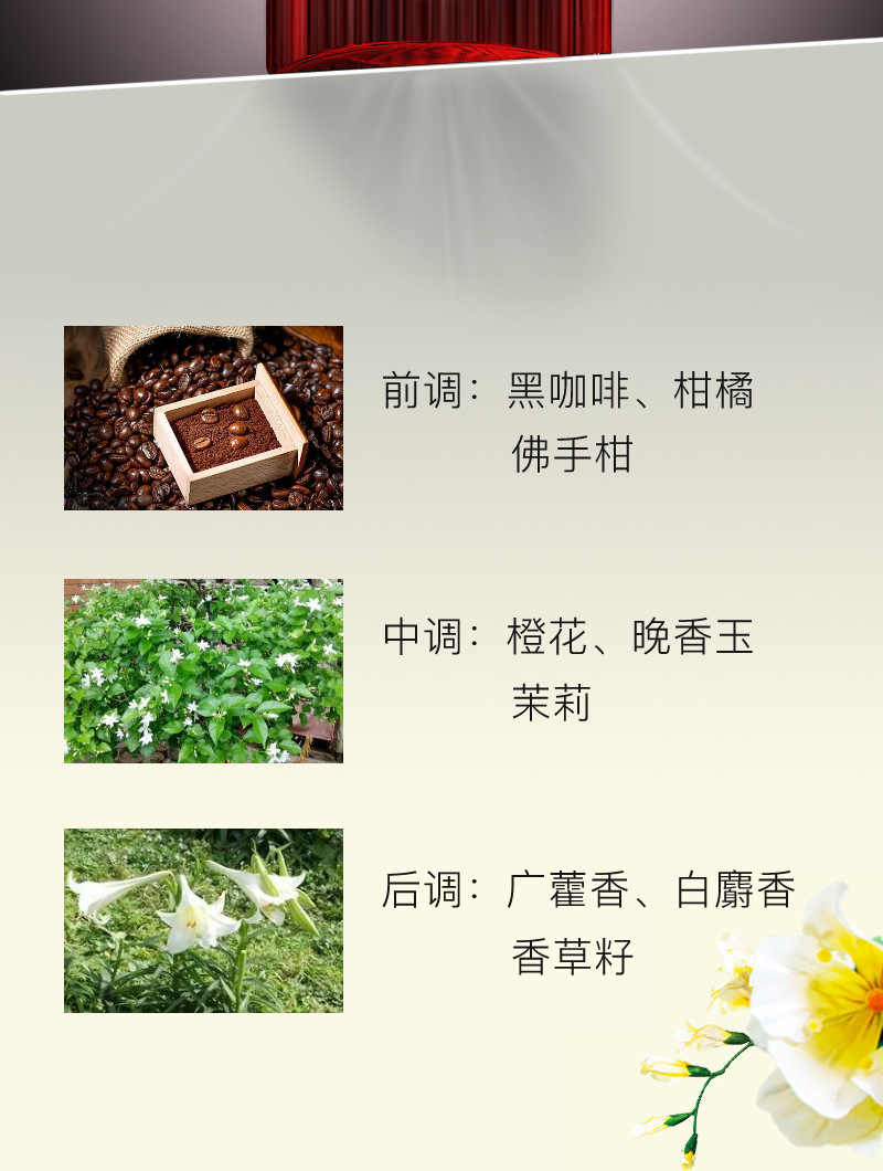越南跨境抖音爆款网红黑咖啡巴黎甜美女士香水持久淡香花果香批发详情7