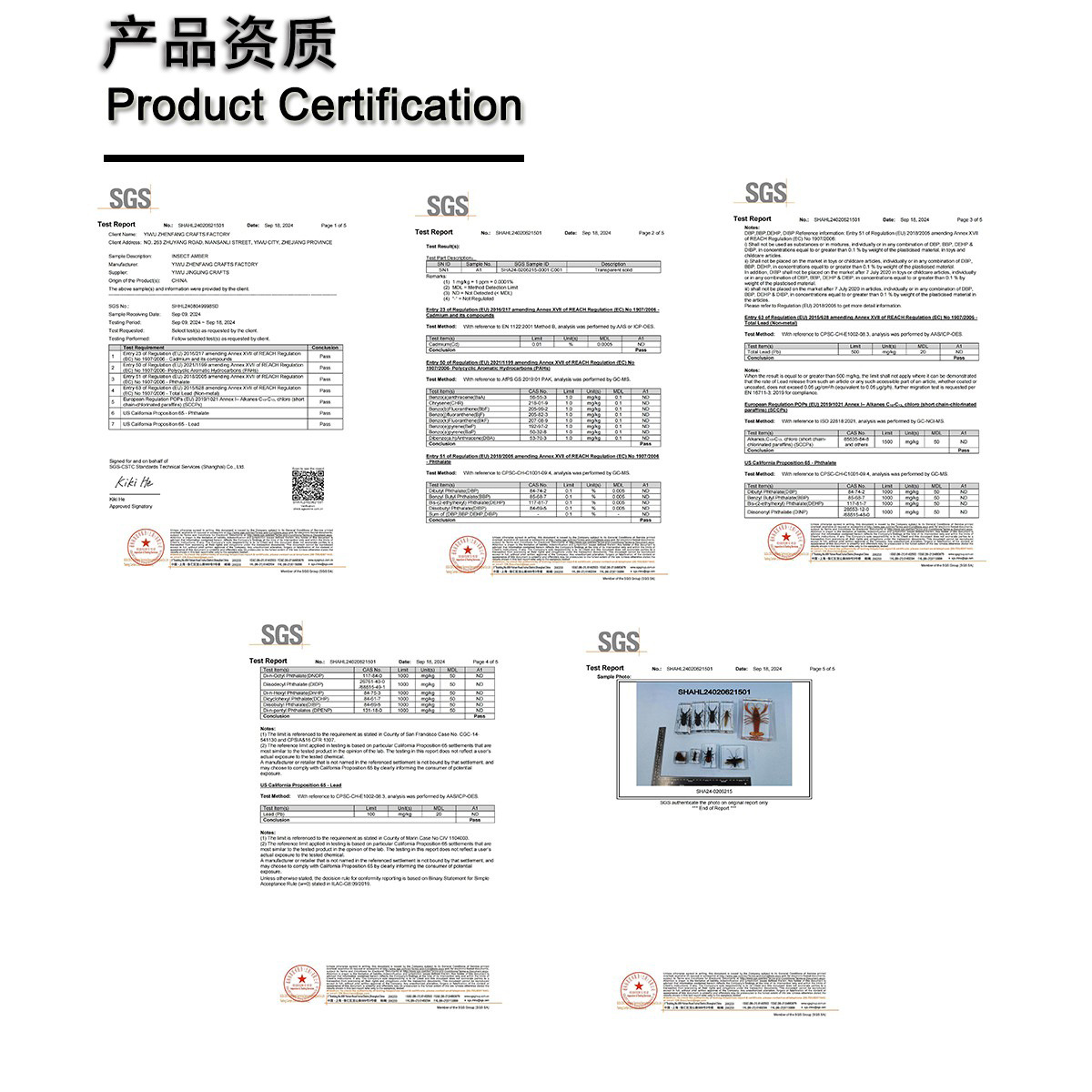 Zhenfang Craft Factory offers self-operated real insect specimens, biological science popularization teaching, ciphertext waybills, and cross-border one-piece consignment pic 7