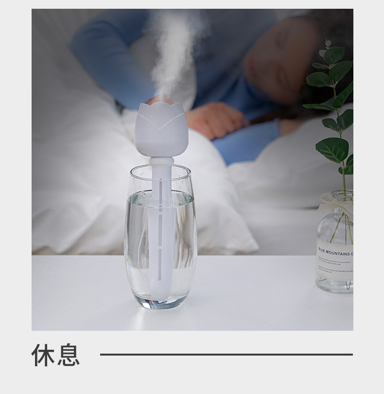 创意玫瑰花加湿器迷你USB桌面补水喷雾器便携矿泉水瓶车载雾化器详情5