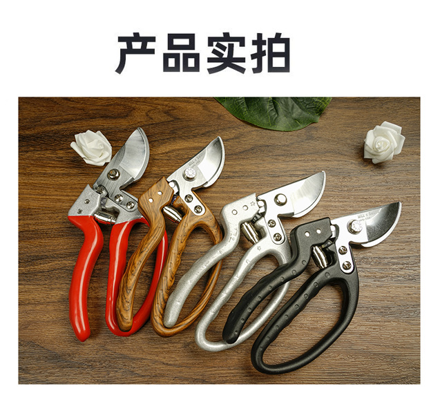佰世园艺树枝剪修枝剪园艺剪刀果园花艺专用摘果剪园林工具剪批发详情9