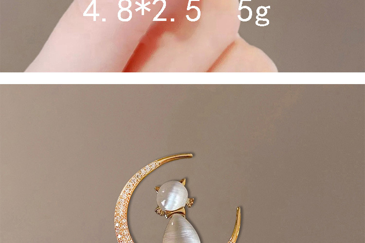 Butterfly brooches for women, high-end and niche, wholesale high-end pins, elegant and fixed clothes, suits, pearl accessories pic 13