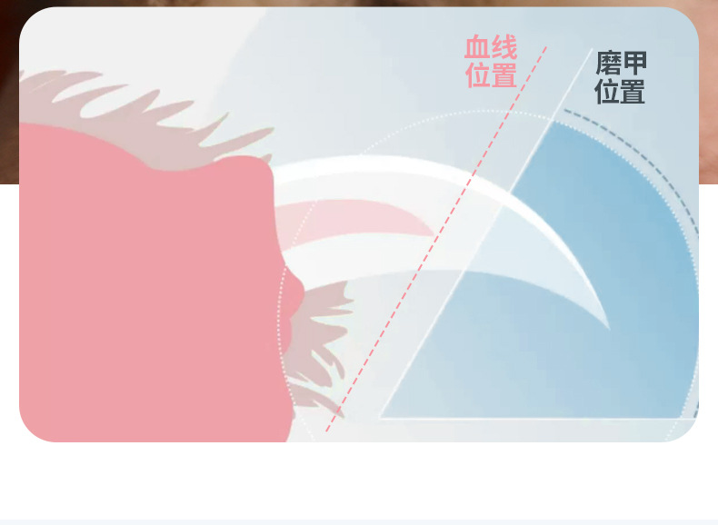 跨境专供宠物磨甲器猫狗指甲剪USB充电吸尘磨甲器LED灯电动修甲111详情8