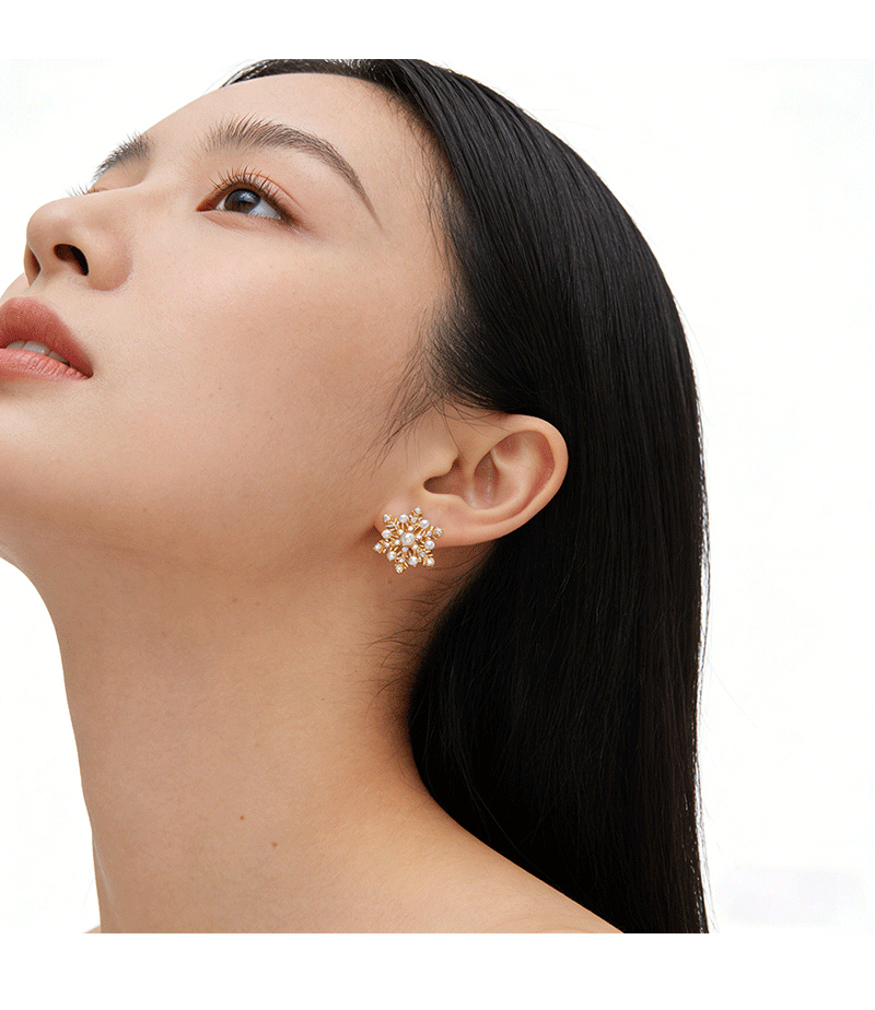 Hyacinth925 Silver Needle Exquisite Zircon Snowflake Stud Earrings Autumn/Winter 2026 New bestseller, high-end and unique design earrings for women pic 8