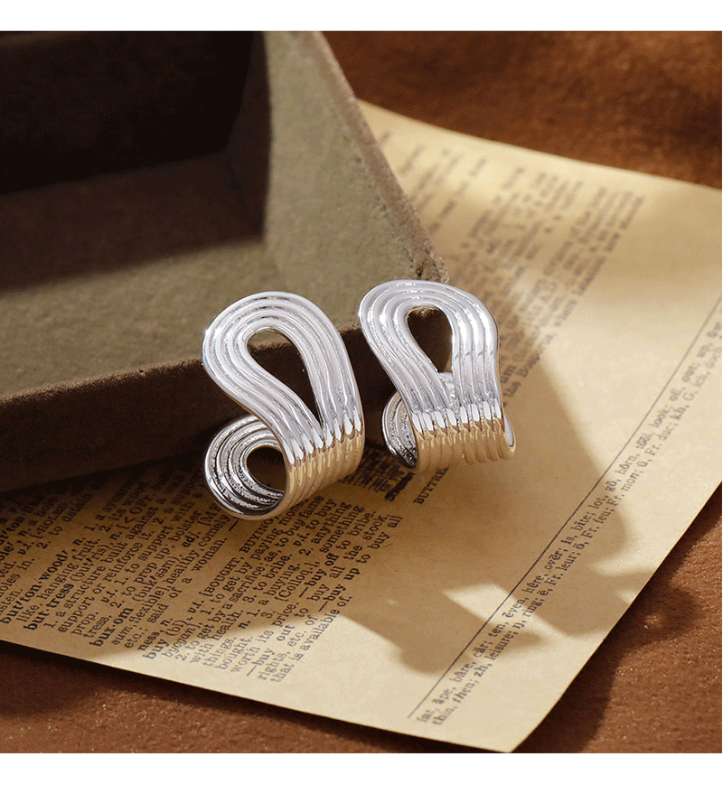 Hyacinth时髦个性港风金属冷淡风耳环2025年新款潮耳饰小众简约气质耳饰品详情7