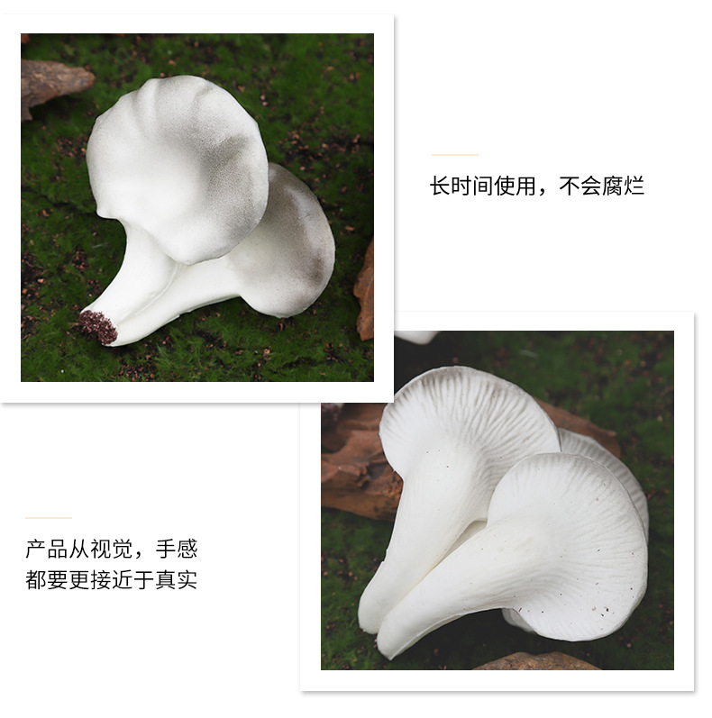仿真迷您植物香菇平菇菌类套装早教植物静态摆件认知模型套装现货详情10