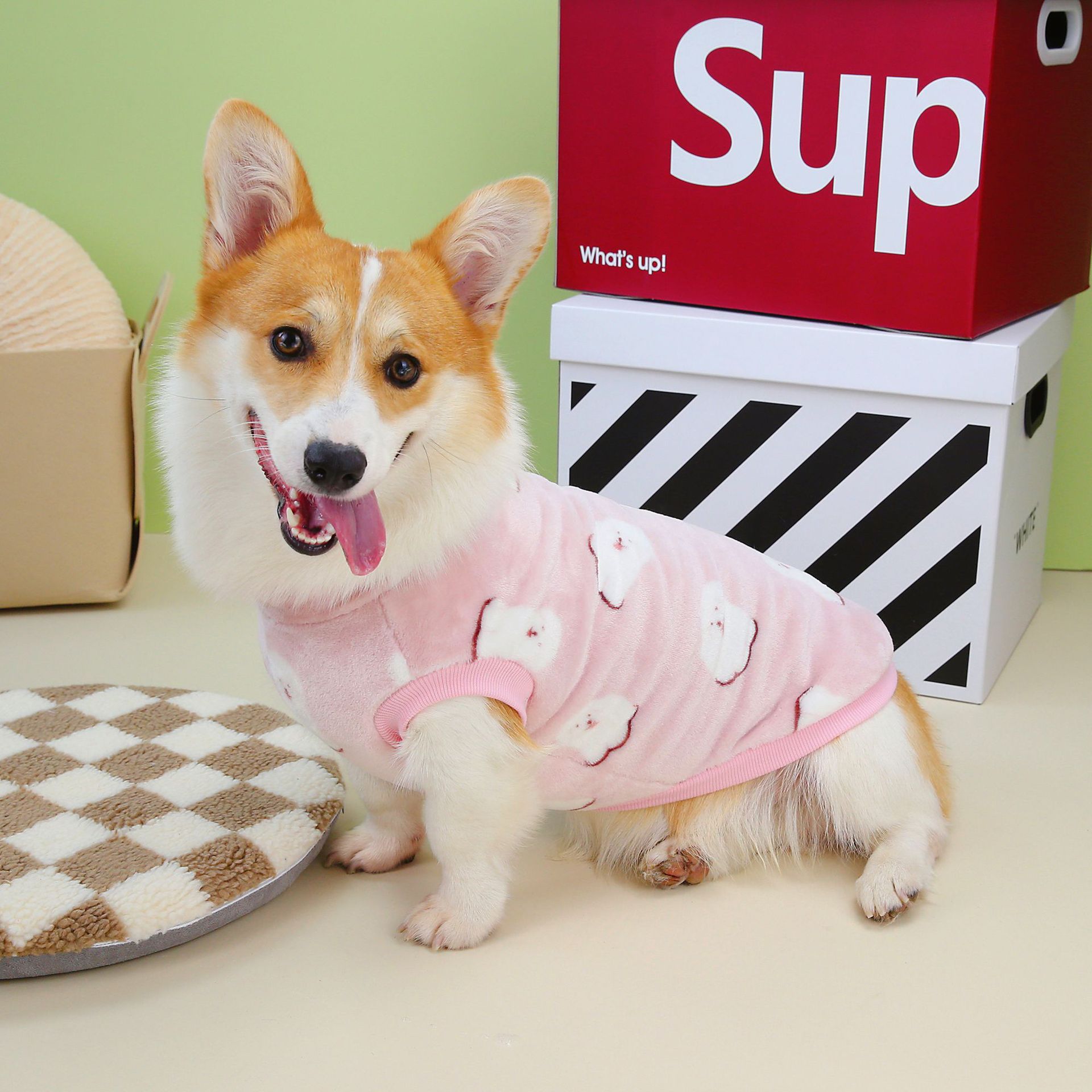 宠物衣服秋冬新款柯基腊肠绒衣中大型犬狗狗法兰绒面料两脚衣现货详情6