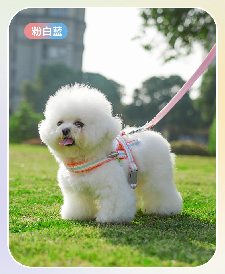 狗狗牵引绳防爆冲小型犬宠物背心式胸背带泰迪柯基胸背带遛狗绳子详情14