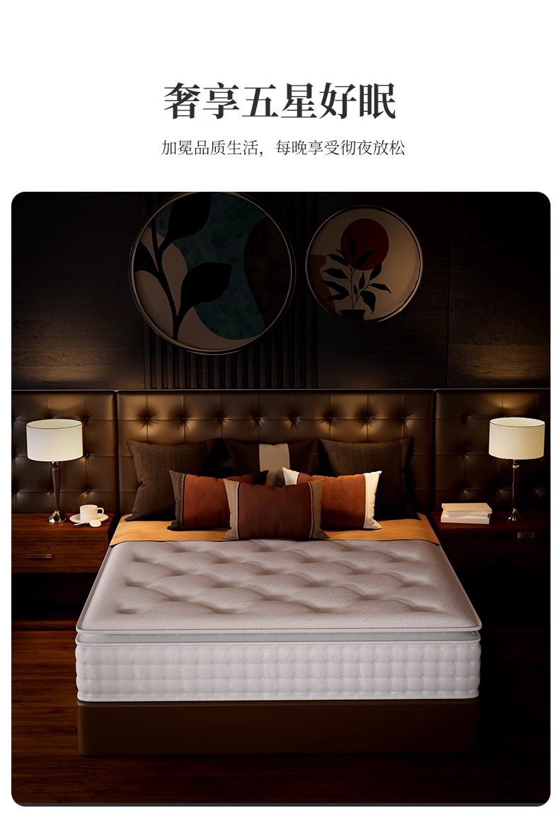 Hilton five-star hotel mattress Home Simmons independent bag elastic memory foam thickened soft pad pic 13