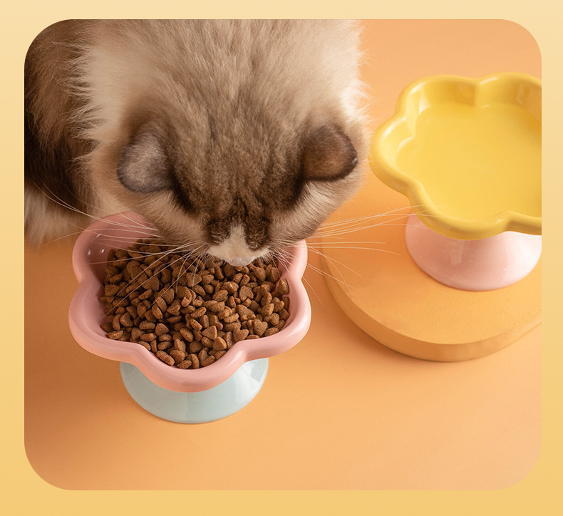 High-quality macaron-colored flower-shaped pet bowls, pet feeding bowls, dog supplies, pet automatic water dispensers, pet supplies, durable and easy to clean pic 6