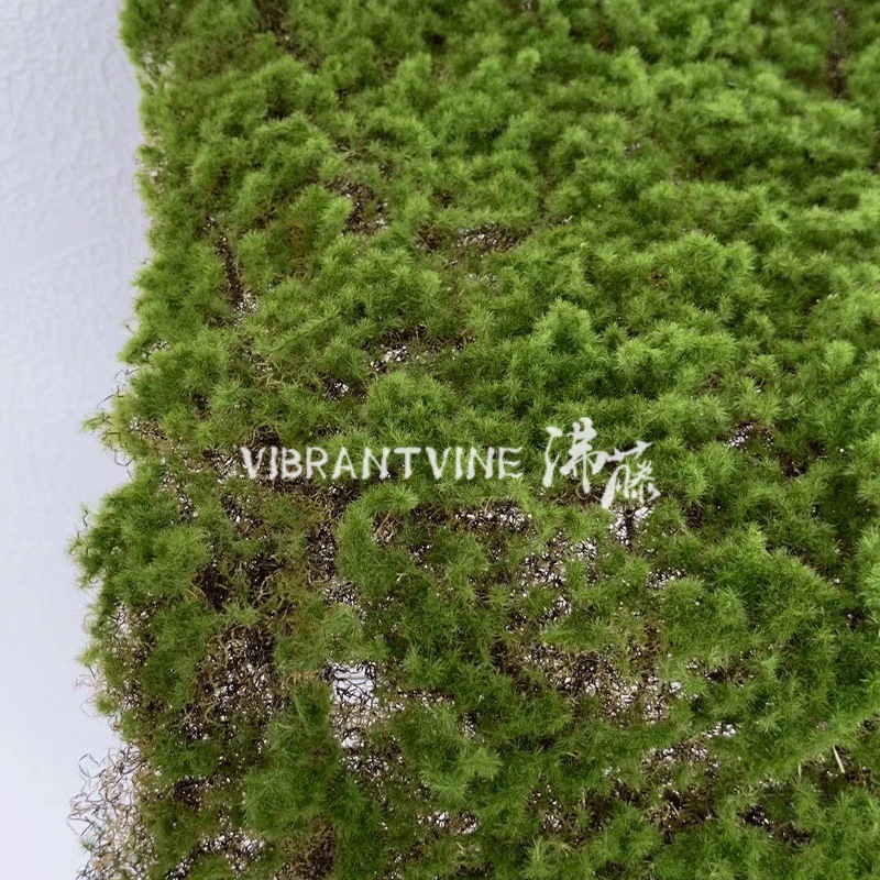 仿真绿植青苔藓皮青苔坪橱窗软装苔藓绿地墙面植物墙装饰人造草坪详情3
