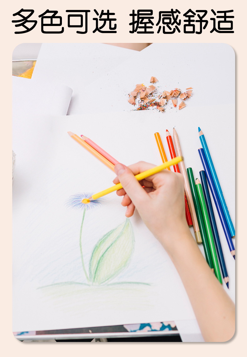 Weibo炜搏木质12色彩铅马卡龙儿童美术绘图画画涂鸦高级填色批发详情5