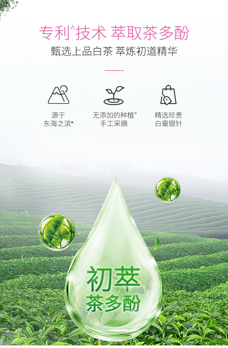 好来原黑人牙膏茶倍健茉莉白茶90g健康牙龈清新口气牙膏批发代发详情6