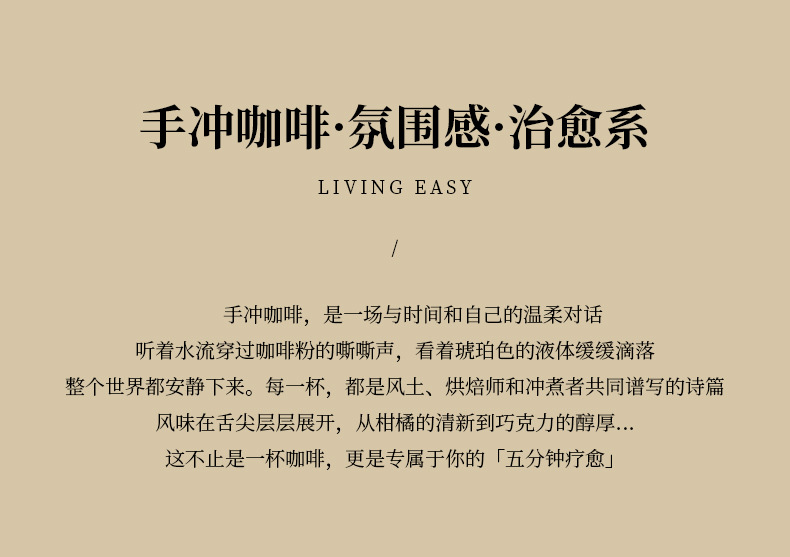 咖啡分享壶陶瓷滤杯手冲咖啡壶V60过滤器过滤网滴滤陶瓷滤杯套餐详情6