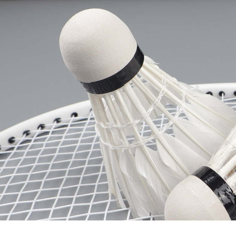 风速厂家批发真羽毛球三只装训练耐打12只装比赛用球鹅毛羽毛球详情7