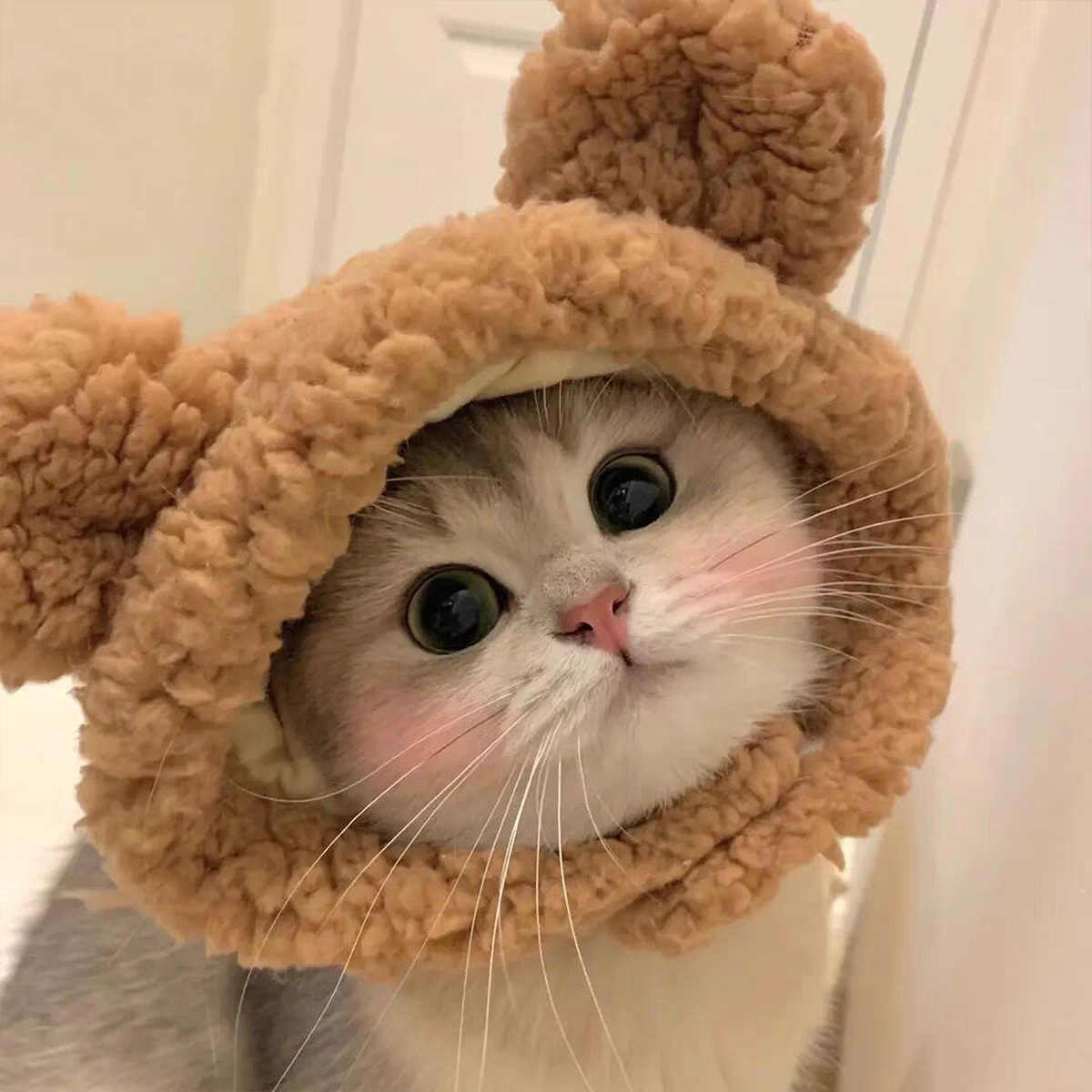 跨境宠物帽子装饰头套毛绒变装小狗狗猫咪比熊可爱拍照头饰搞怪详情12