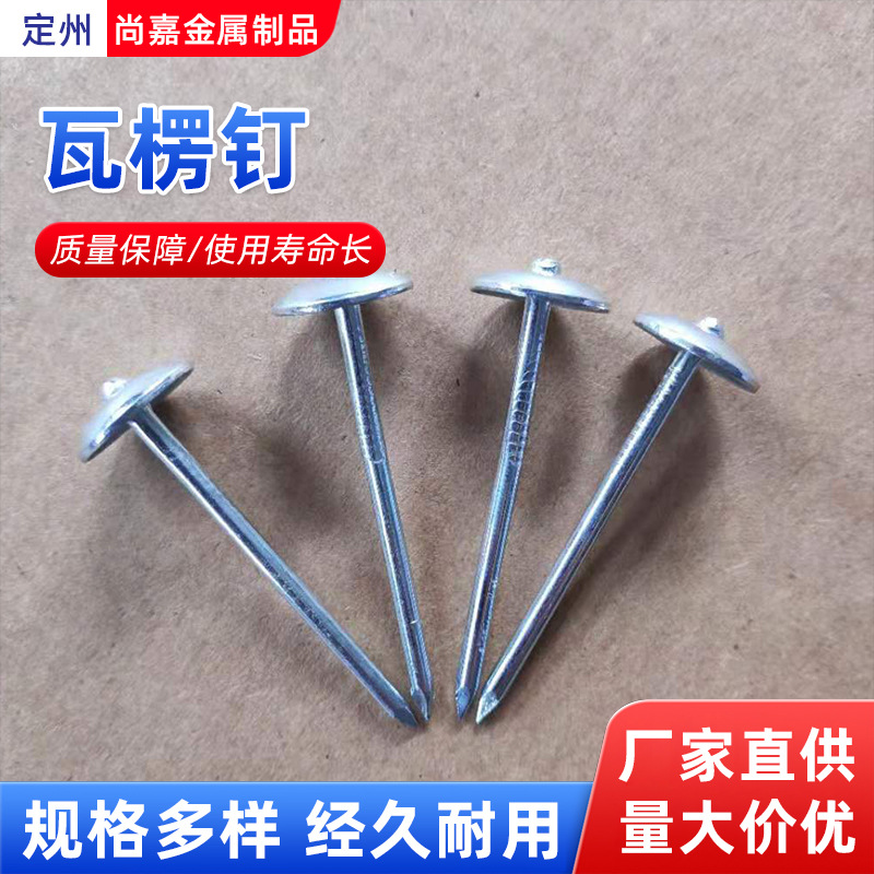 瓦楞钉石棉瓦钉3寸伞状垫片来图来样定制批发搓丝直杆大头水泥钉详情7