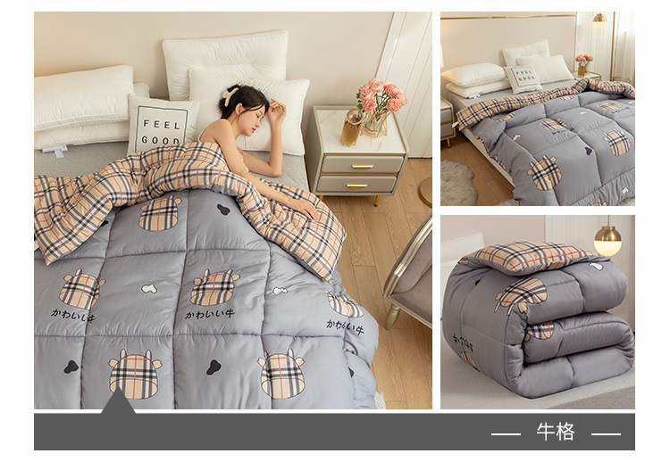 Wholesale of spring and autumn quilts, thickened and warm winter quilts, and single and double student winter quilts for all four seasons pic 3