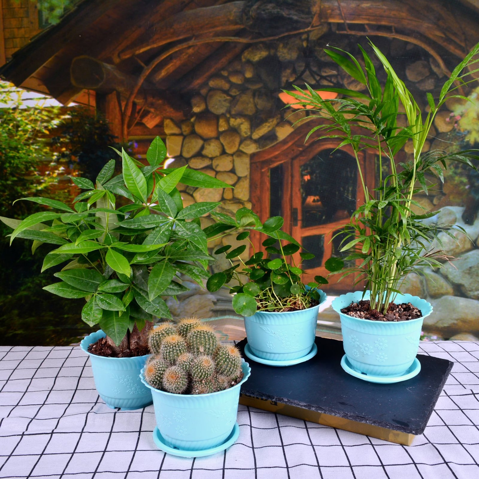 加厚落地式性稳定情绪阳台花卉解压植物多肉绿植郁金香塑料槽详情5