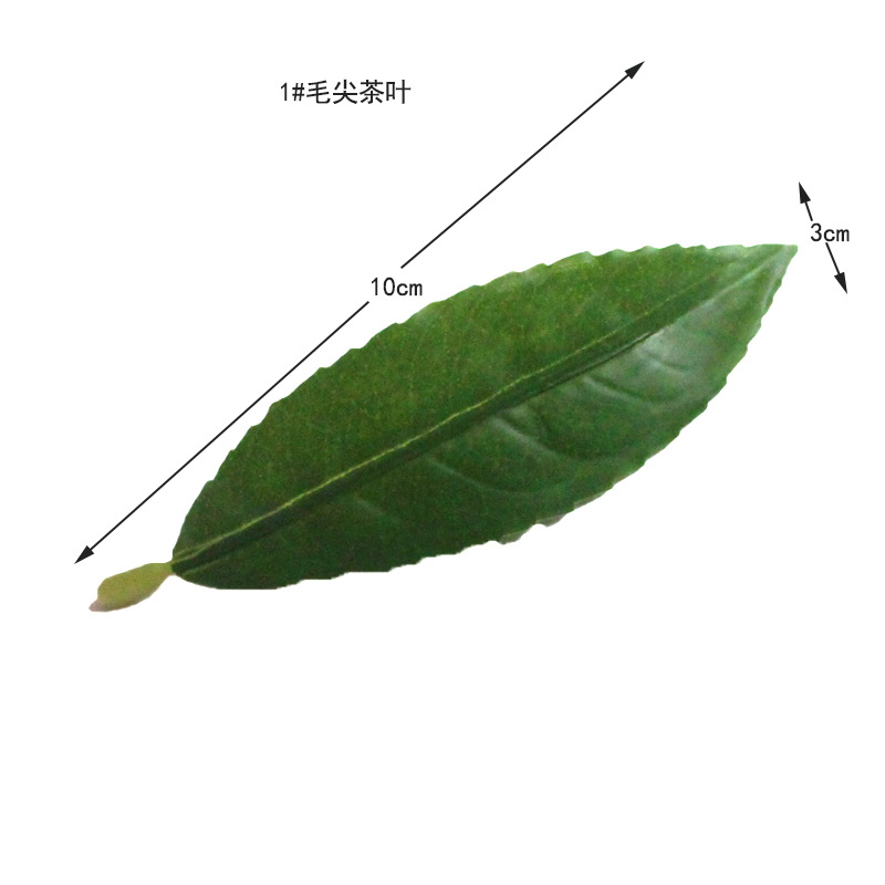 仿真茶叶绿植安吉白茶毛尖茶红绿茶单片称重工程DIY装饰摆设批发详情12