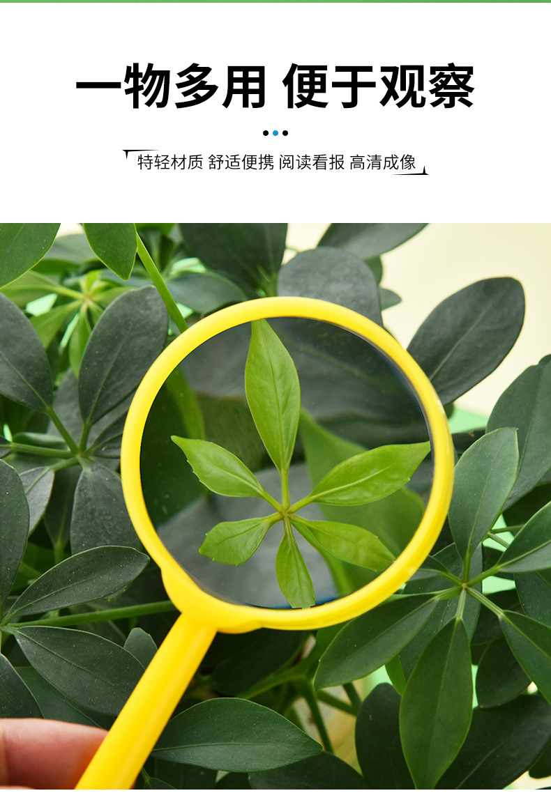 60mm彩色放大镜亚克力高清儿童观察手持科教户外探索益智玩具批发详情2