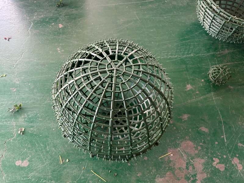 QQ图片20240724194831_副本