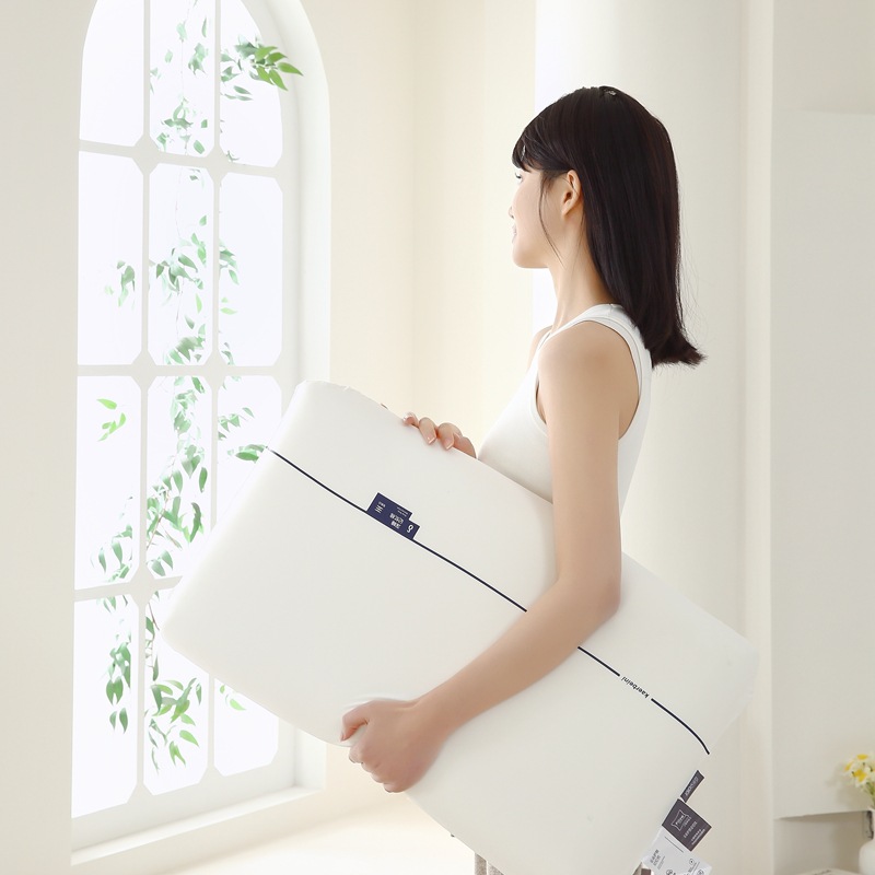 Planet Pillow pro Dual-core zero-pressure slow-rebound Memory Pillow core Hotel sleep Aid pillow pair neck support pillow pic 9