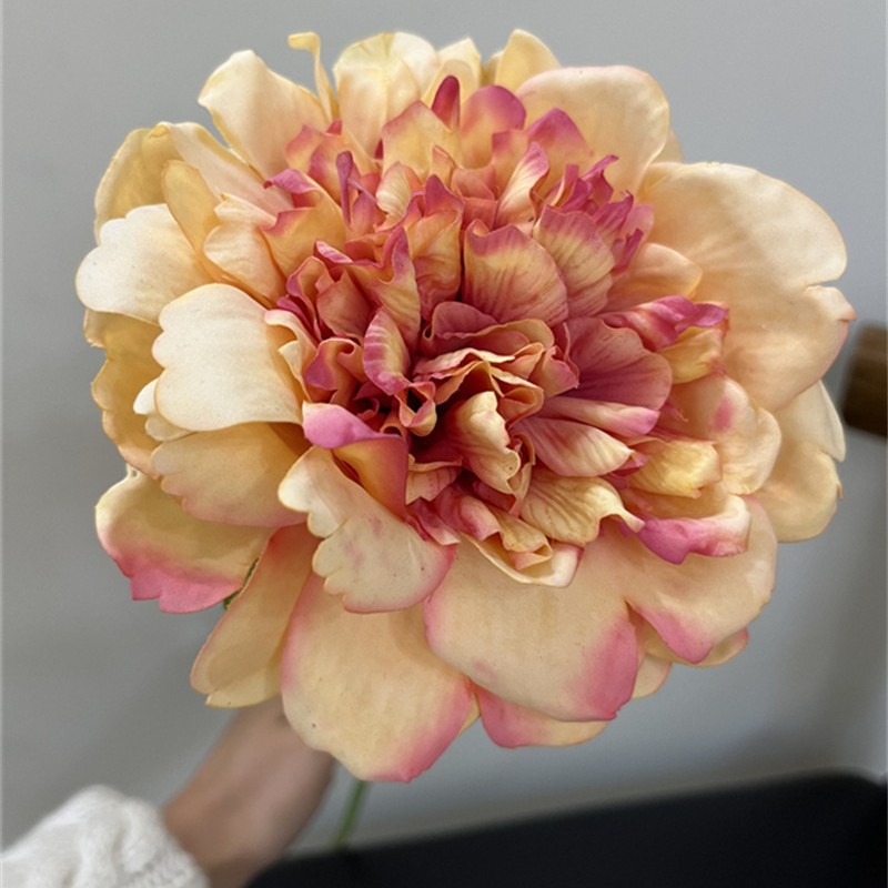 2025-05-28 00:46:35.jpg