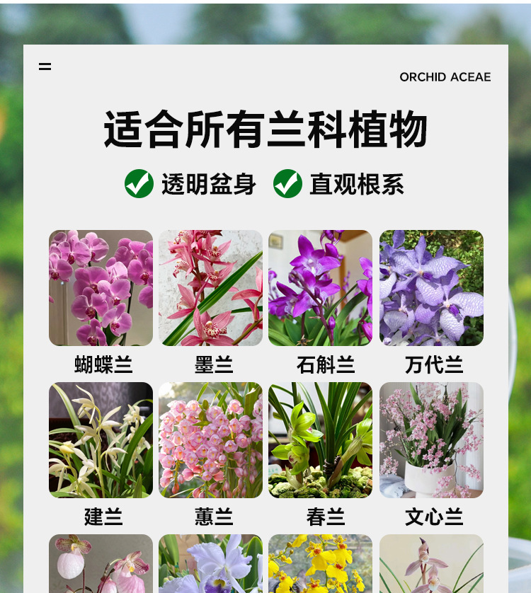 蝴蝶兰专用花盆空气柱透明青山盆特大号大口径塑料圆形桌面高花盆详情16