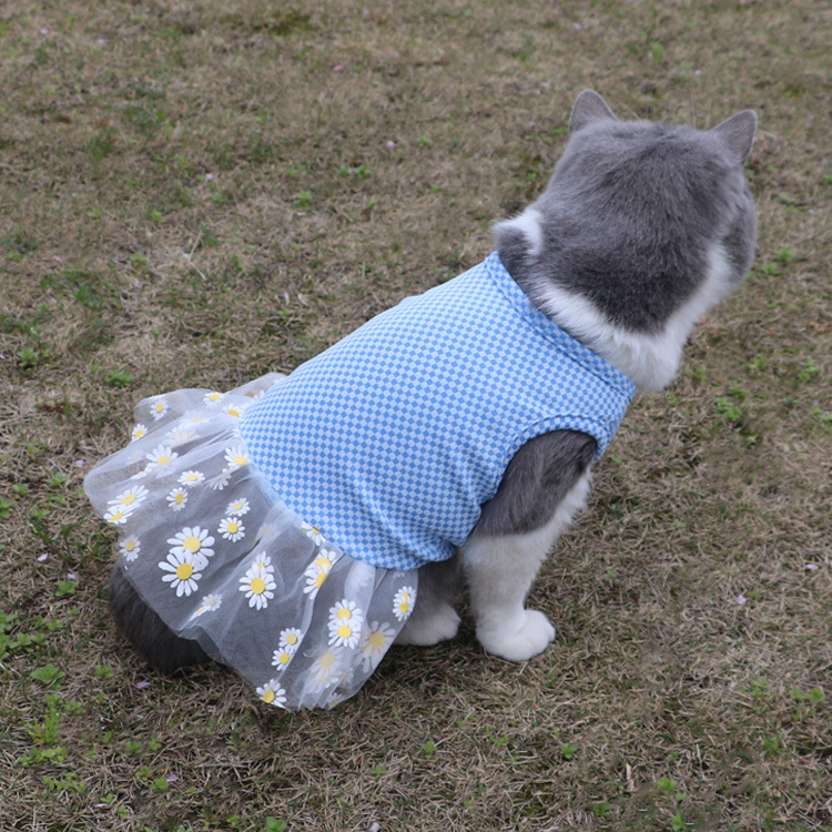 T宠物服凉感小狗猫咪连衣裙时尚甜美裙优雅公主蕾丝小雏菊宠物衣详情15