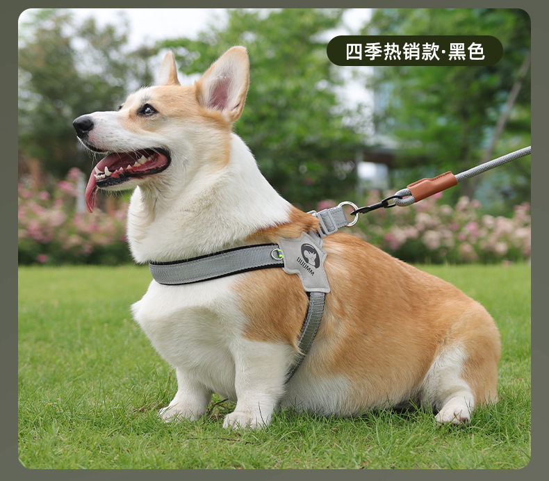 Dog leash saddle-style pet chest and back strap, breathable and reflective dog chest and back pet leash, dog leash wholesale pic 19