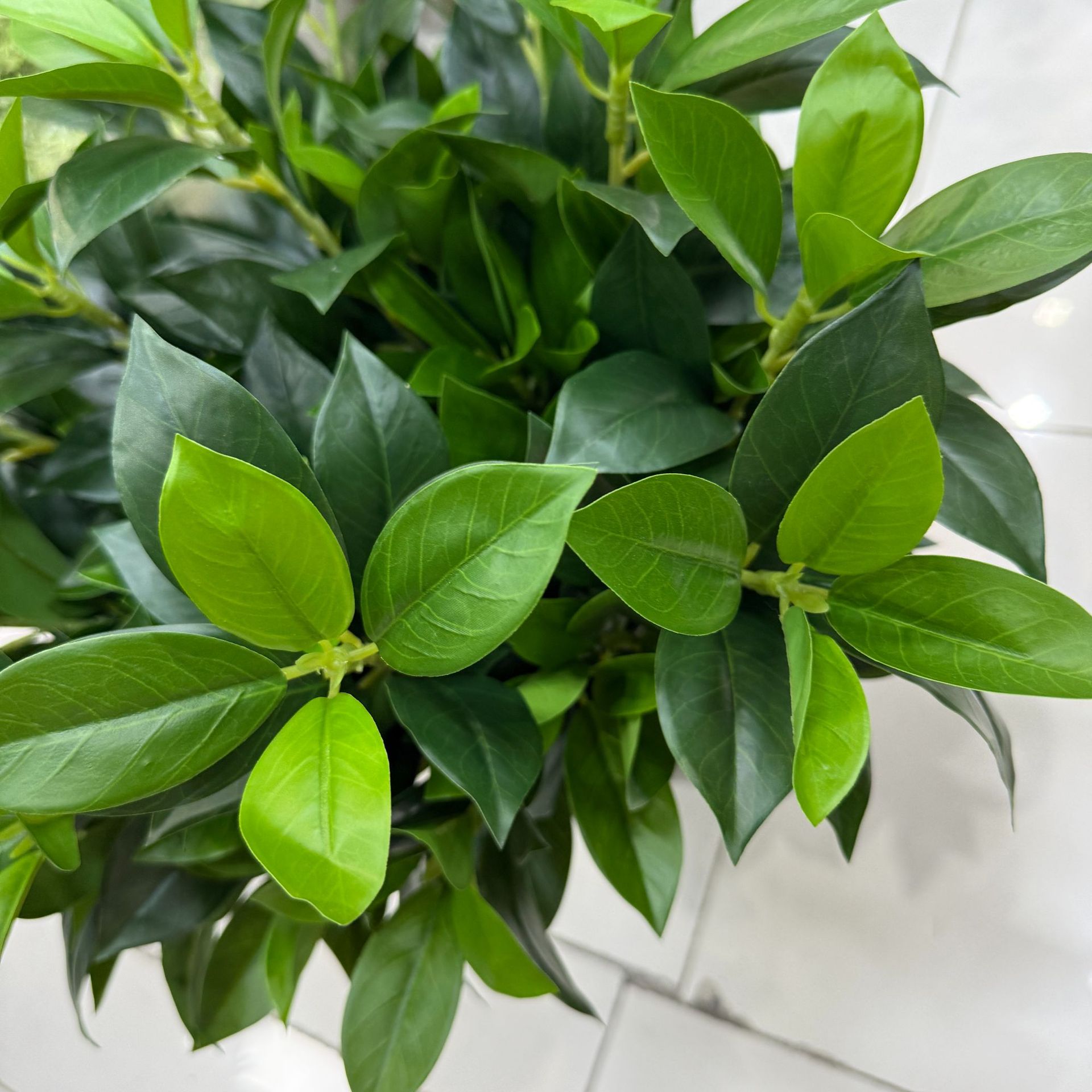 仿真柠檬叶 桔叶 桂花月桂叶 茶树叶 手感叶子植物造景树装饰家居详情9