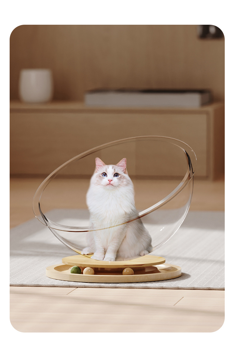 Space capsule acrylic cat bed, solid wood turntable toy, mint cat play and sleep integrated pet supplies, one-piece consignment pic 9