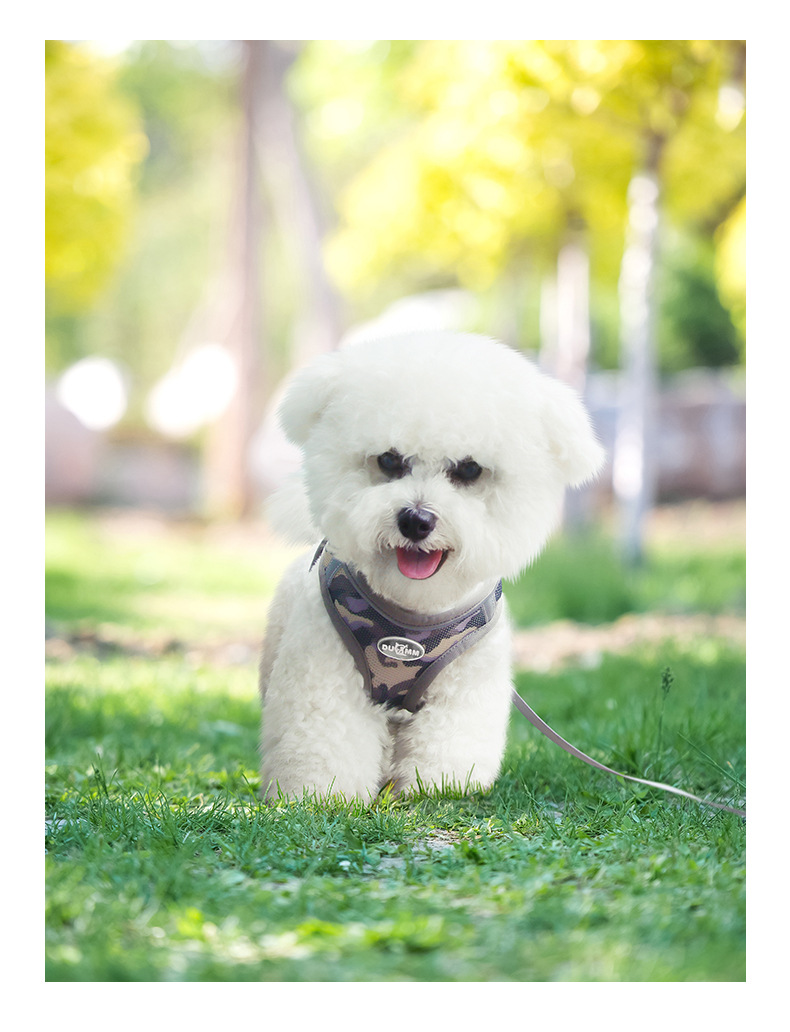 Wholesale of new spring and summer dog chest and back straps, reflective and breathable dog leash, camouflage three-piece set and dog leash pic 19