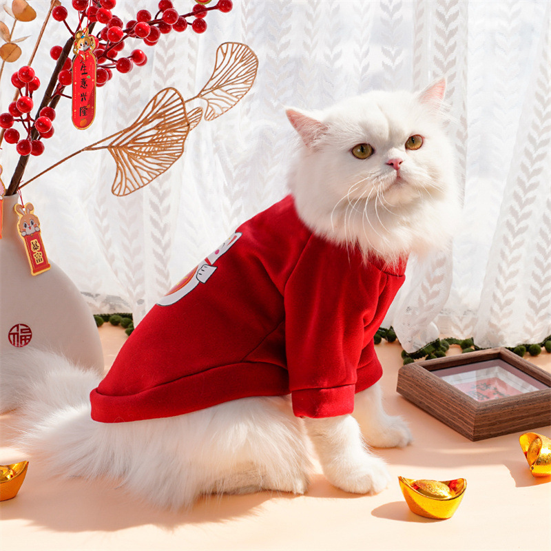 Año nuevo ropa de mascotas otoño invierno más peluche dos pies hoodies para perros ropa de gato teddy suministros fabricantes al por mayor pic 15
