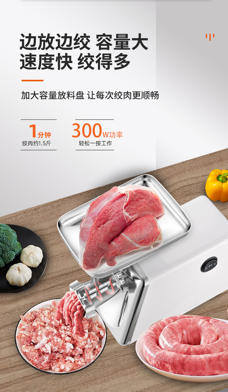 跨境热卖中亚220V欧规二合一绞肉机家用电动肉碎肉泥机搅拌碎肉机详情8