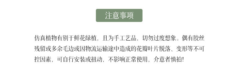 植绒硬料小芦荟迷你盆栽仿真塑料磨砂小盆景桌面摆件礼品仿真多肉详情26