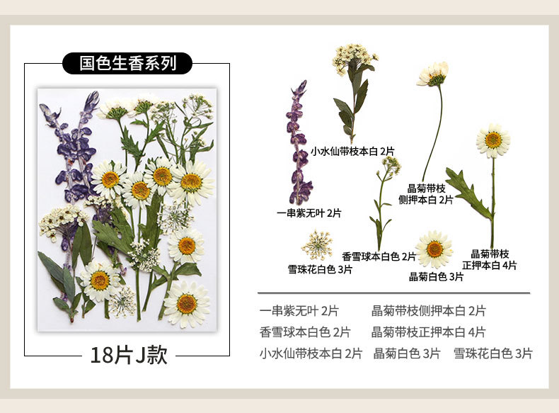新款干花压花材料包贴脸装饰眼角写真花瓣diy滴胶相框植物标本详情18