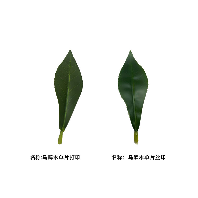 仿真植物马醉木绿植吊钟树叶工程园林造景家居装饰厂家批发马醉木详情19