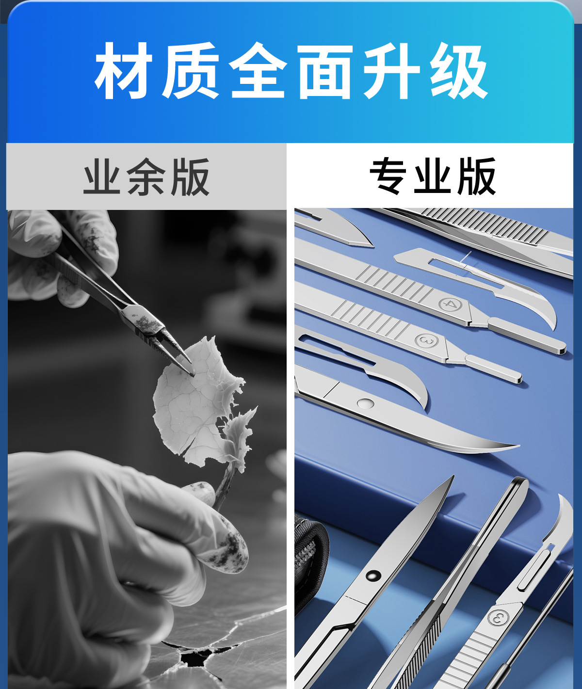 7-piece set of biological dissecters, stainless steel insect specimen dissection needles, medical and biological laboratory supplies pic 2
