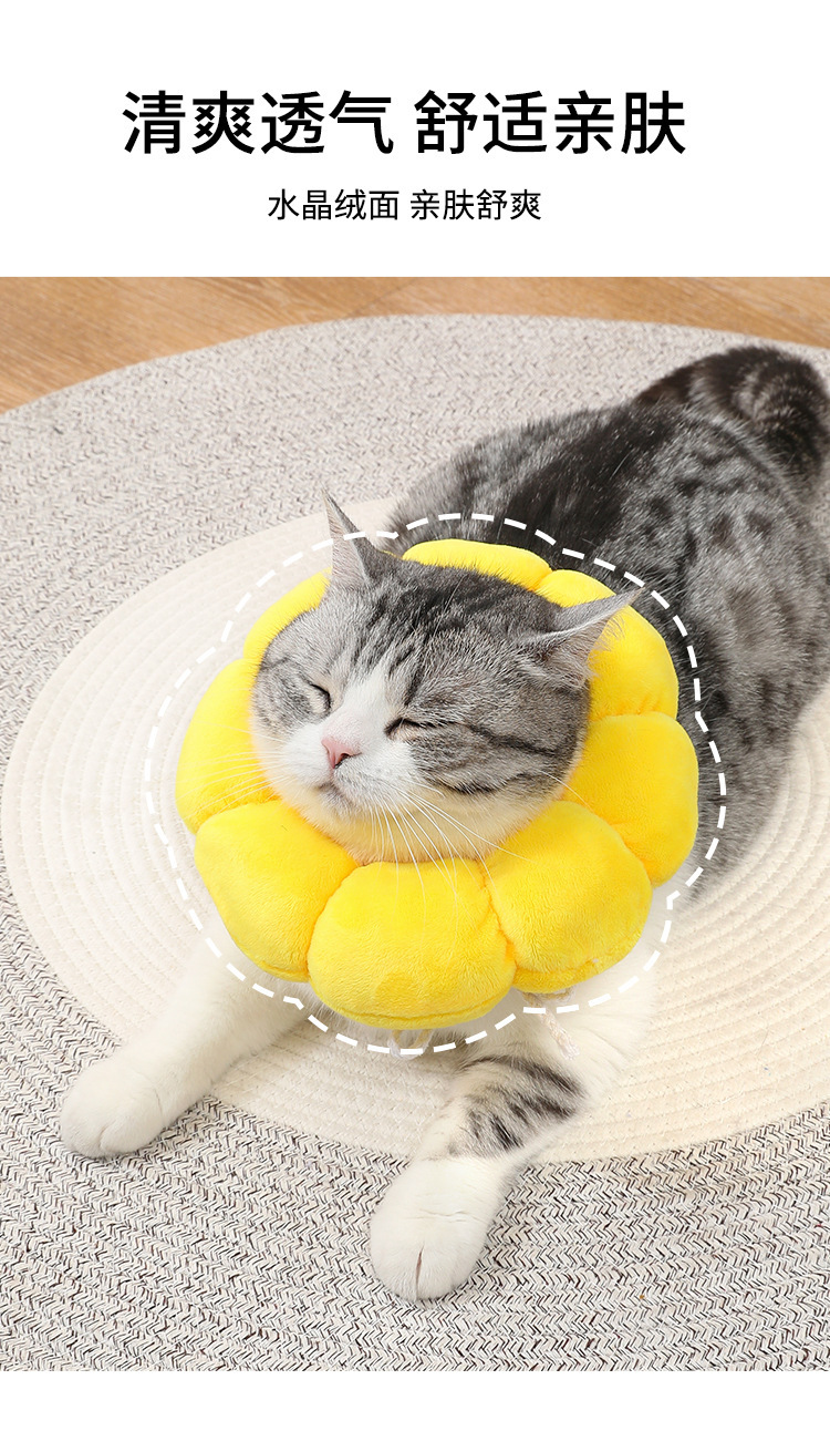 太阳花伊丽莎白圈 宠物项圈猫咪伊丽莎白项圈狗项圈绝育防舔头套详情17
